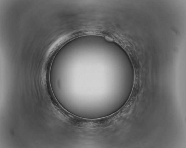 X0000115780197200911131254