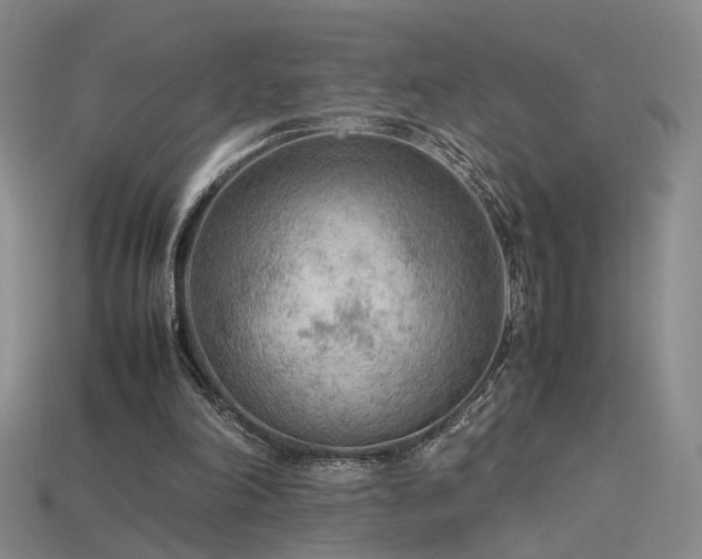 X0000115780198200911131254