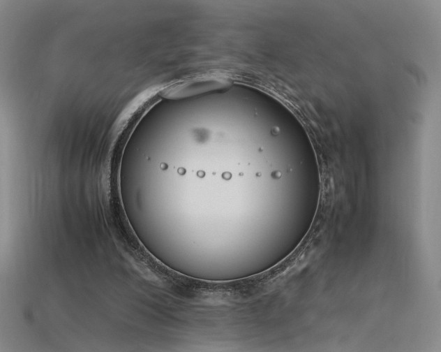 X0000115780200200911131254