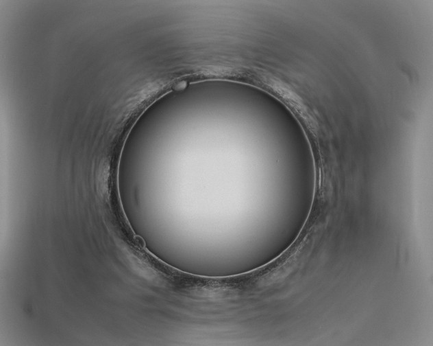 X0000115780201200911131254