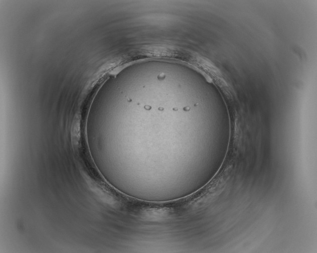 X0000115780202200911131254