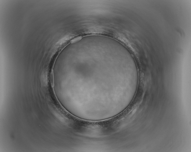 X0000115780203200911131254