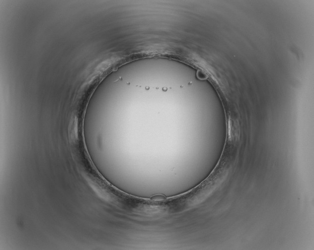 X0000115780205200911131254