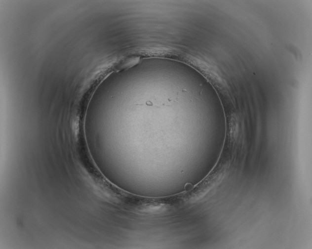 X0000115780206200911131254