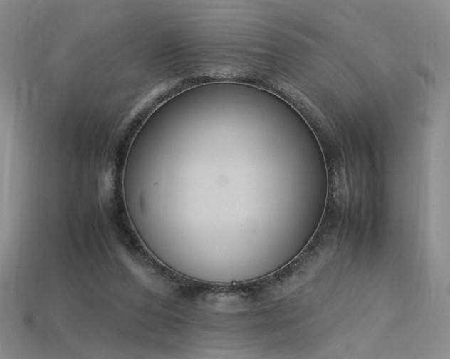 X0000115780208200911131254