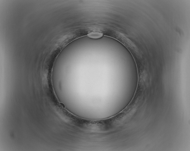 X0000115780209200911131254