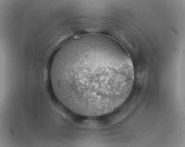 X0000115780211200911131254