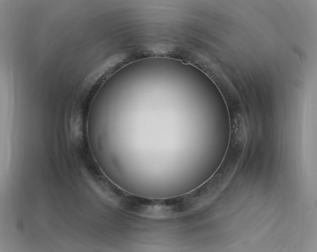 X0000115780212200911131254