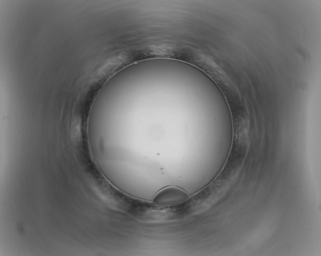X0000115780213200911131254
