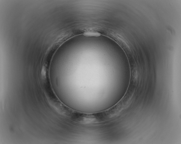 X0000115780214200911131254