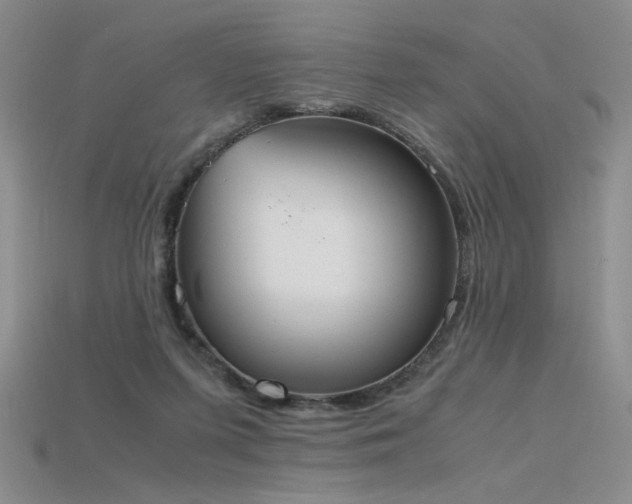 X0000115780215200911131254