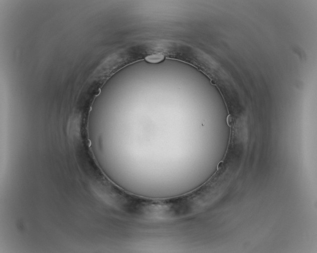 X0000115780217200911131254