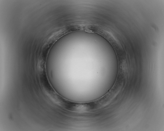 X0000115780218200911131254