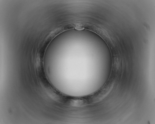 X0000115780220200911131254