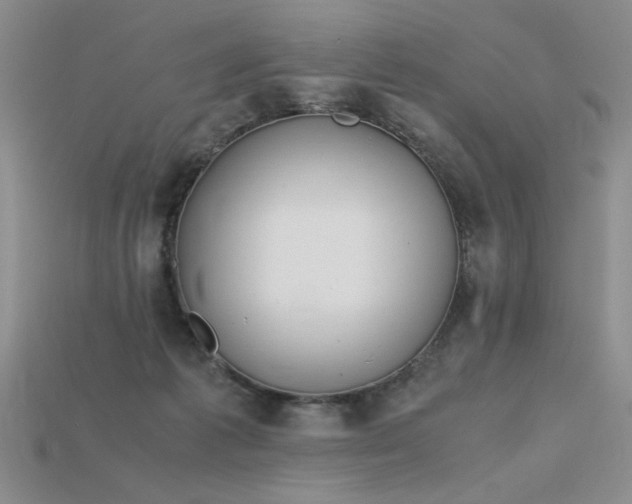 X0000115780221200911131254