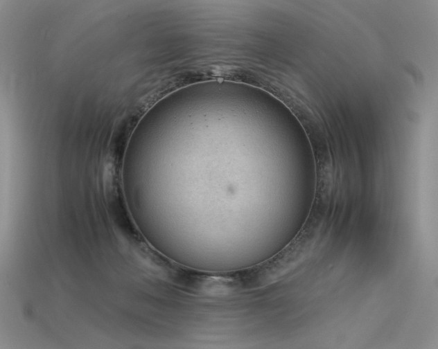 X0000115780222200911131254