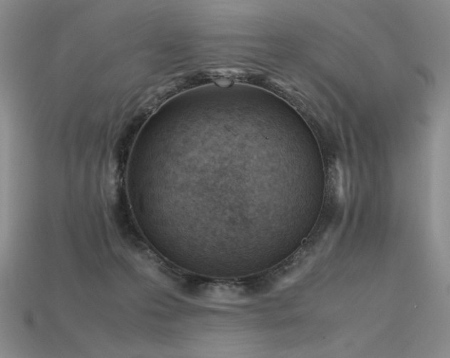 X0000115780223200911131254