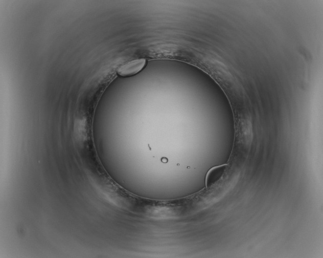 X0000115780224200911131254