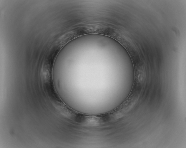 X0000115780226200911131254