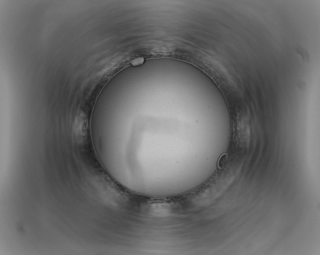 X0000115780228200911131254