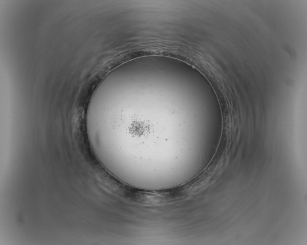 X0000115780229200911131254
