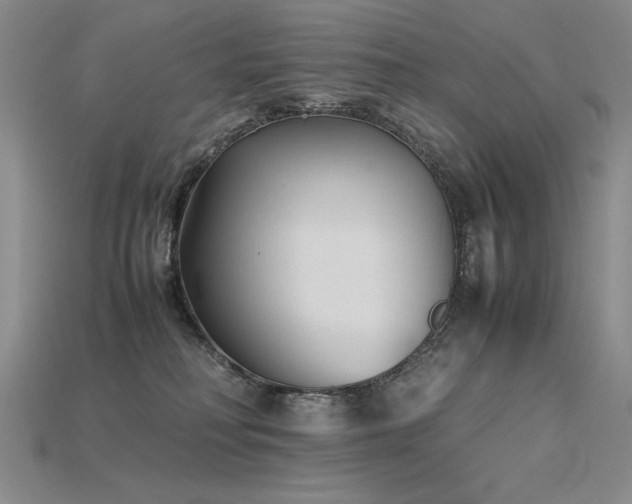 X0000115780230200911131254