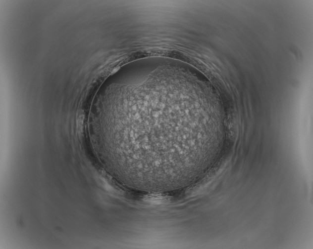 X0000115780231200911131254