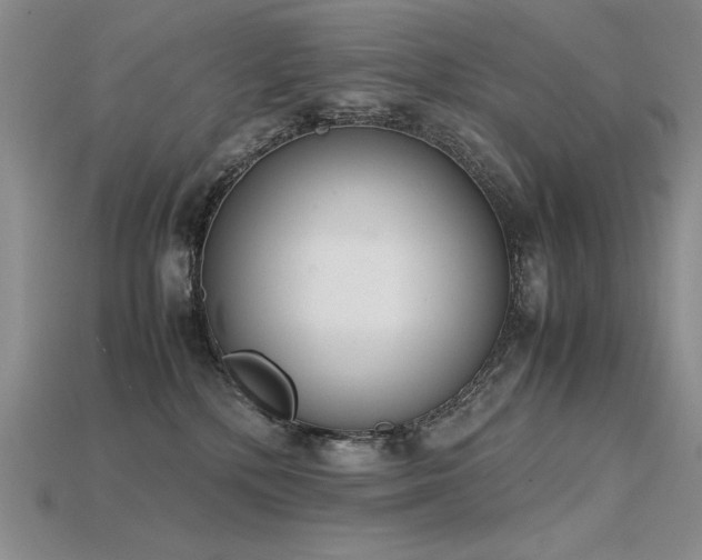 X0000115780232200911131254