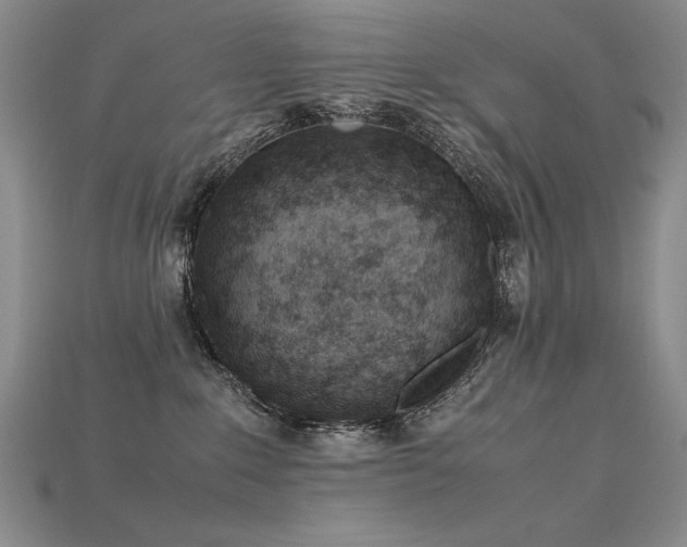 X0000115780235200911131254
