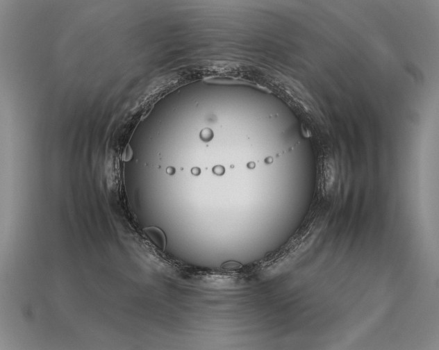 X0000115780236200911131254