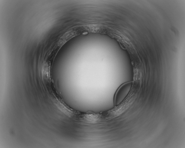 X0000115780238200911131254