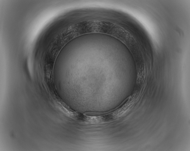 X0000115780239200911131254