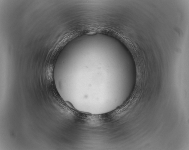 X0000115780240200911131254