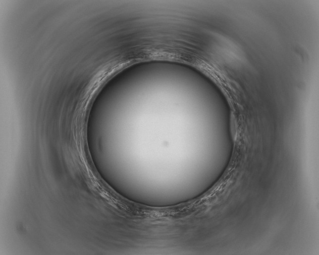 X0000115780241200911131253