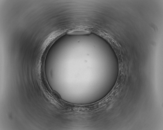 X0000115780242200911131253