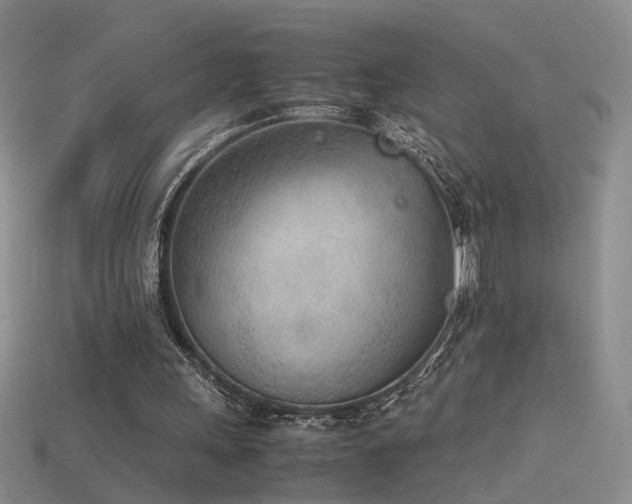 X0000115780243200911131253