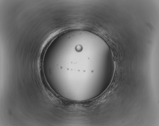 X0000115780244200911131253