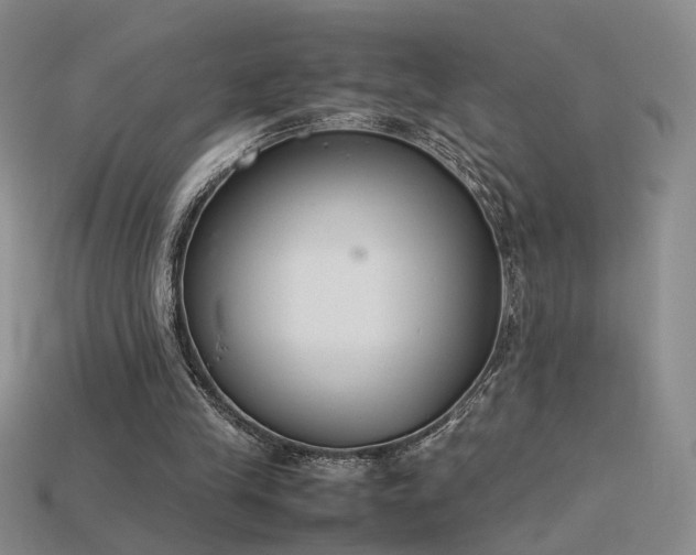 X0000115780245200911131253