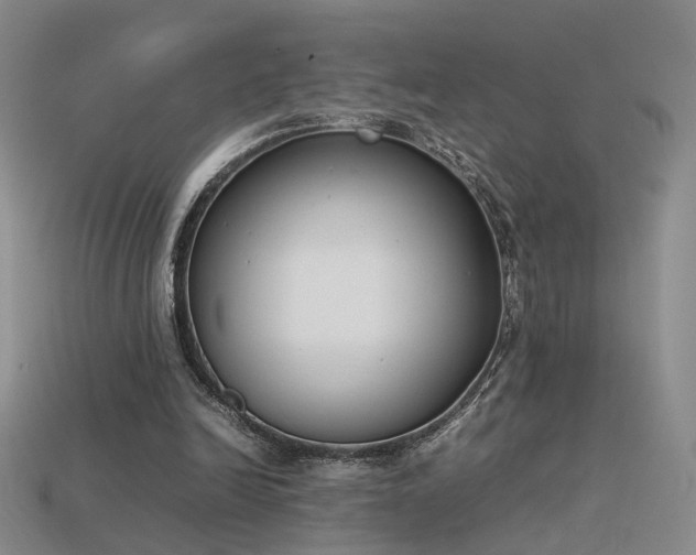 X0000115780246200911131253
