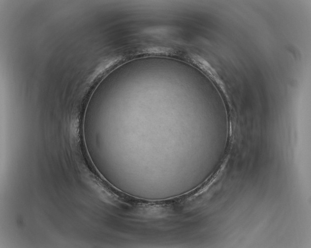 X0000115780249200911131253