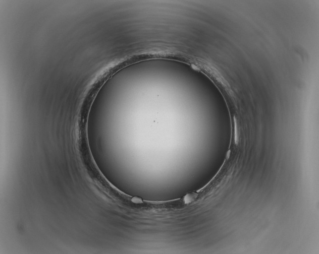 X0000115780252200911131253