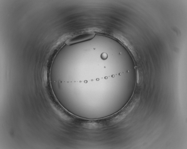X0000115780253200911131253