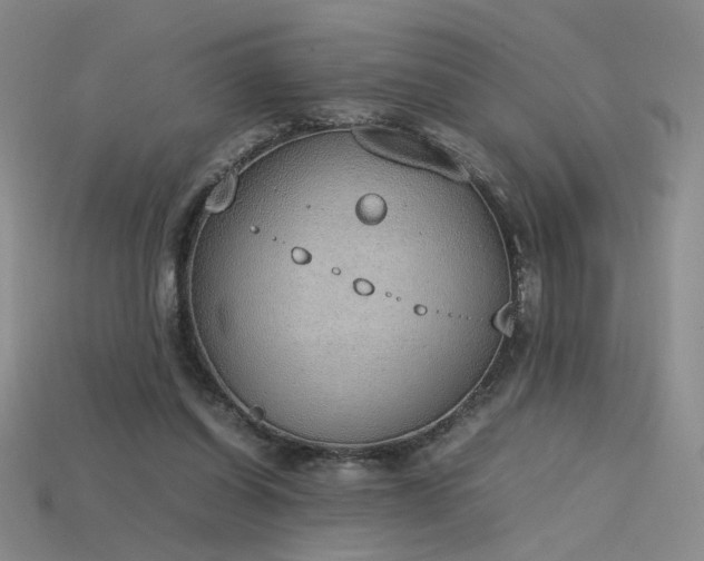 X0000115780254200911131253
