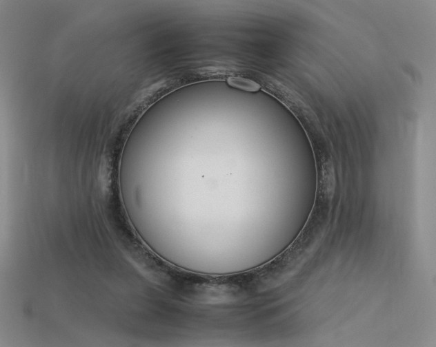 X0000115780255200911131253