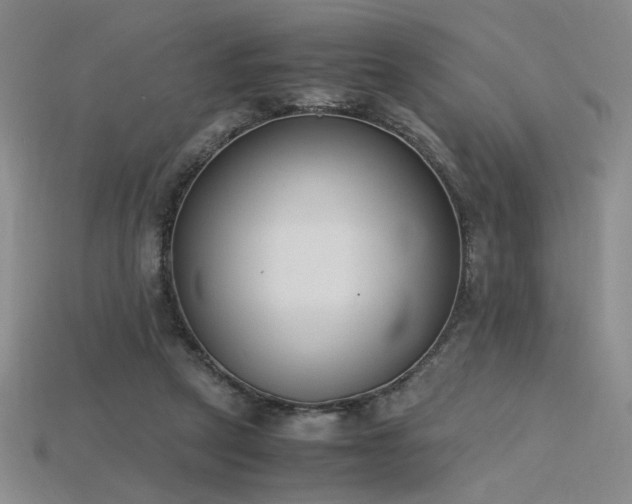 X0000115780257200911131253