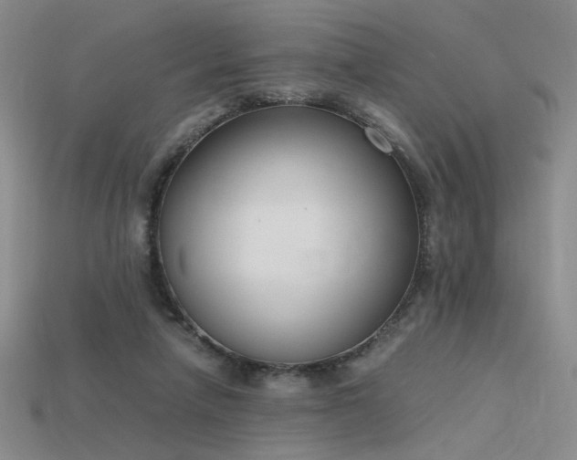 X0000115780258200911131253