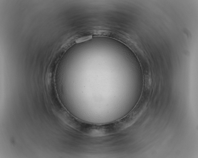 X0000115780263200911131253