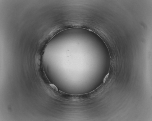 X0000115780264200911131253