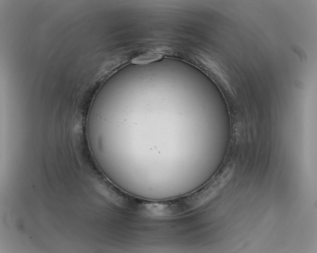 X0000115780265200911131253