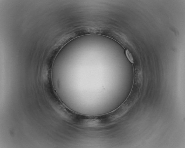 X0000115780266200911131253